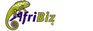 afribiz logo